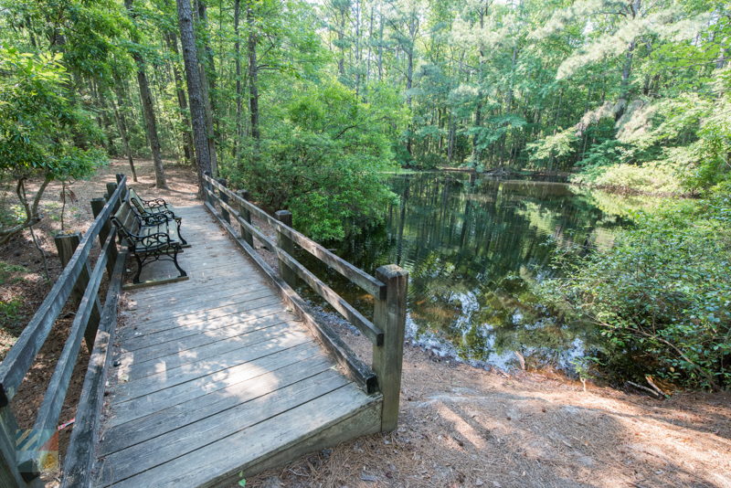 Bluethenthal Wildflower Preserve