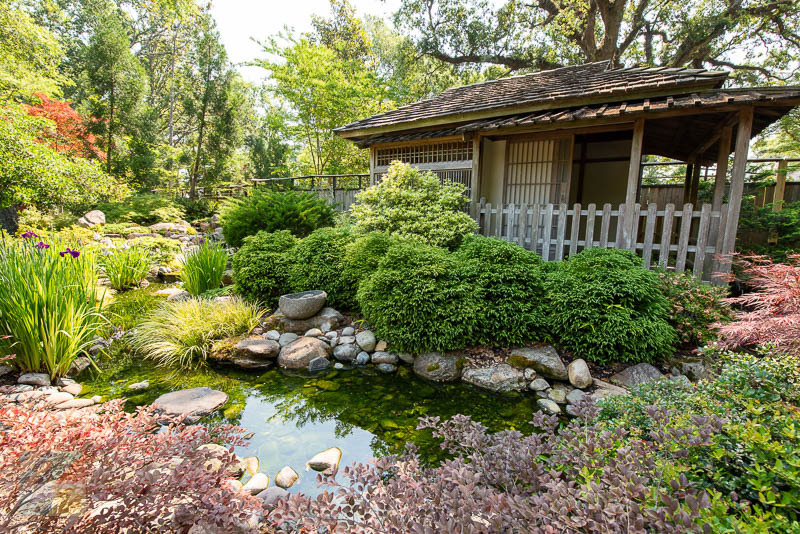 New Hanover County Arboretum