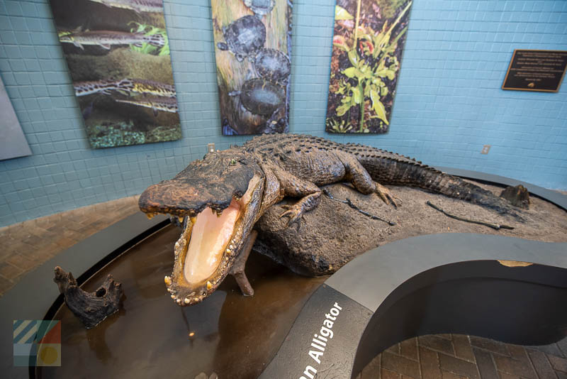 NC Aquarium at Fort Fisher