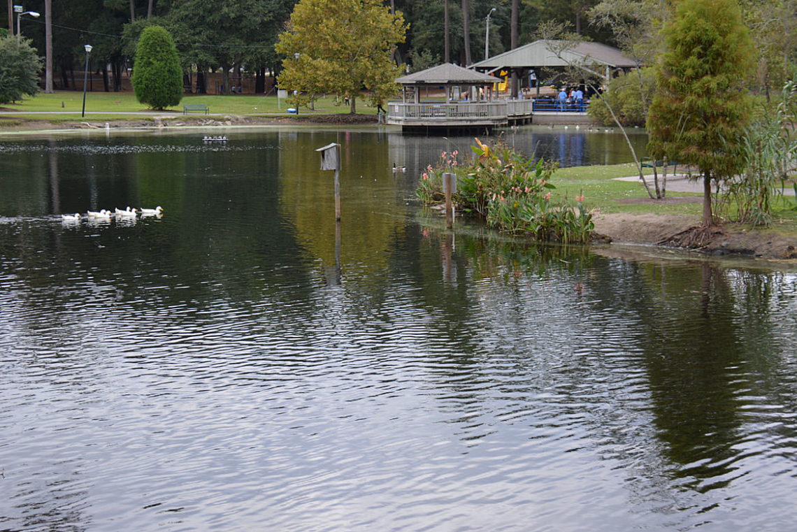 McLean Park