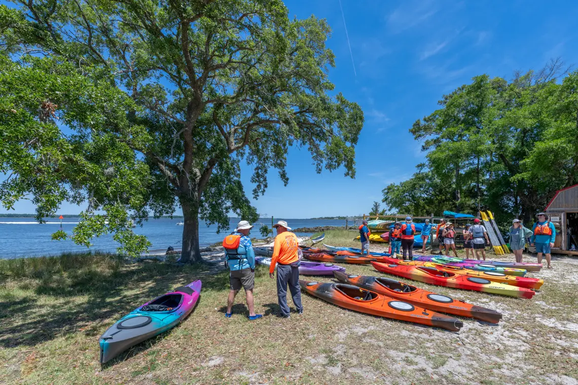 Carolina Beach State Park