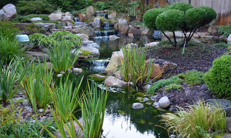 The Japanese Garden at New Hanover County Arboretum in Wilmington, NC