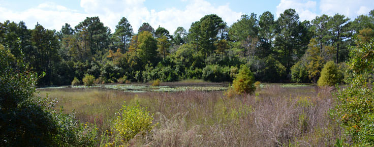 Halyburton Park in Wilmington, NC