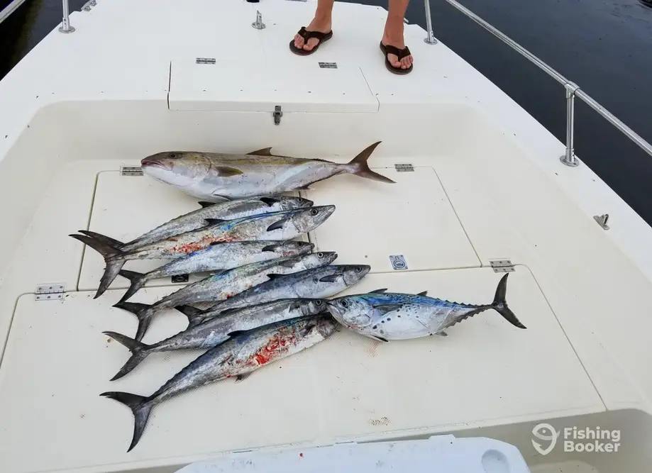 Family Ties Charters charter image 6