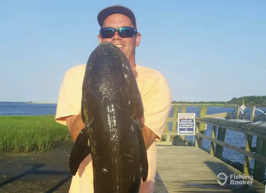 Tiderunner Charters charter image 2