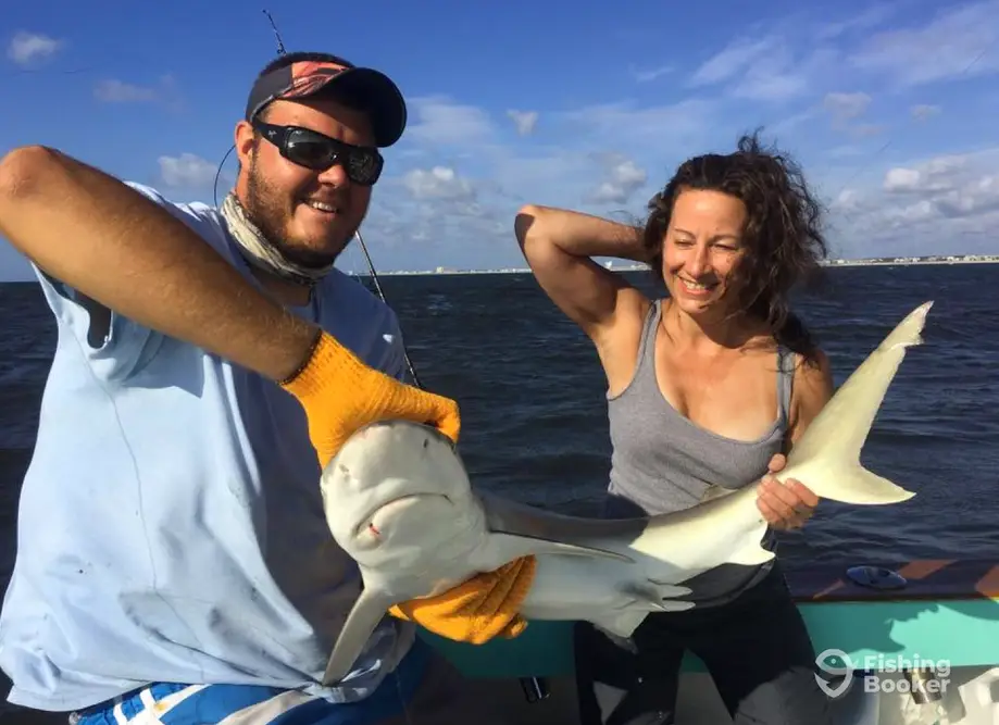 Fillet And Release Fishing Charters charter image 2