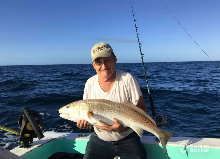 Fillet And Release Fishing Charters charter image 3