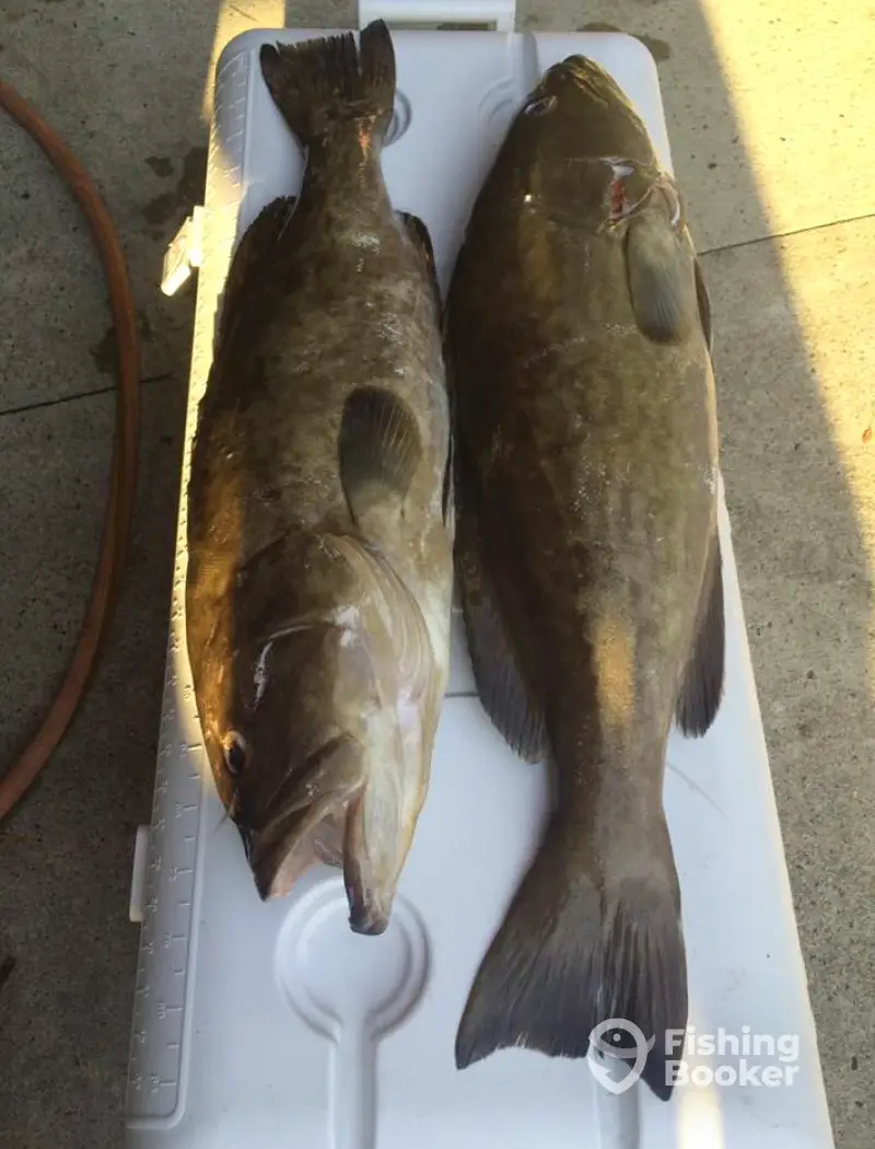 Victory Charters charter image 3