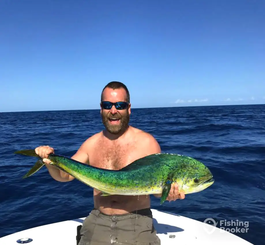 Calabash Fishing Fleet – Navigator charter image 3