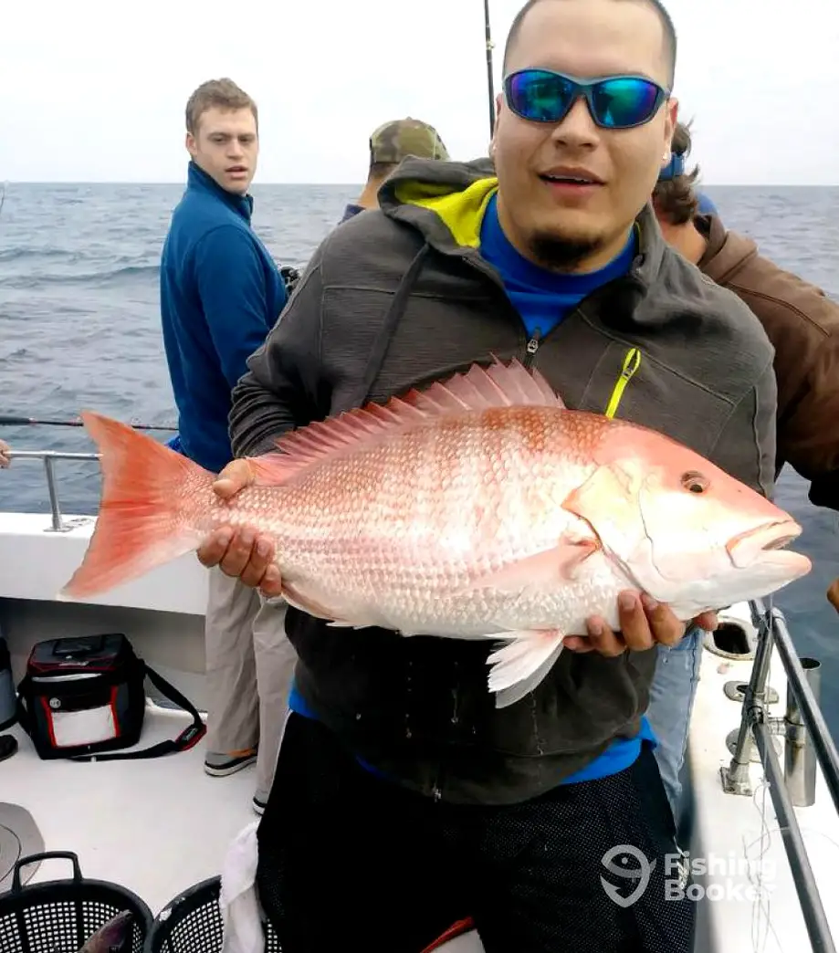 Calabash Fishing Fleet – Navigator charter image 5