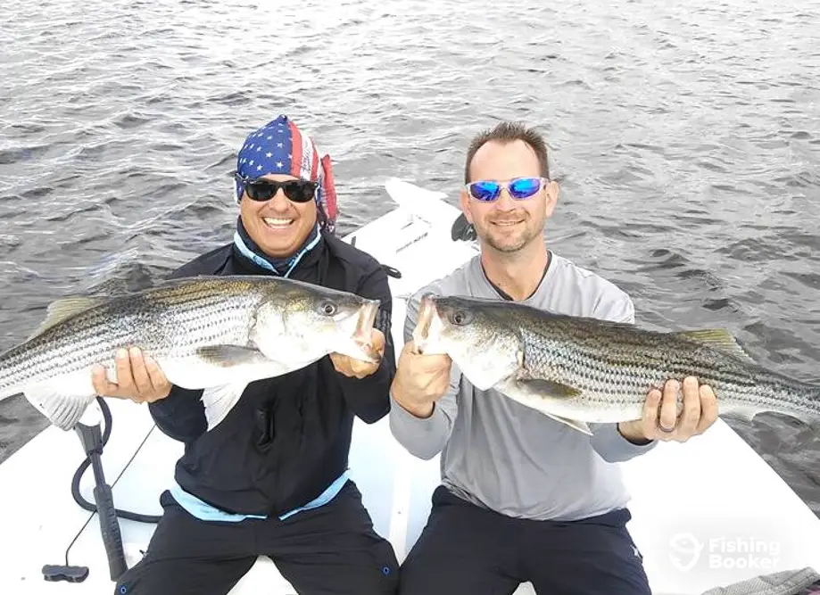 Seagate Charters charter image 4