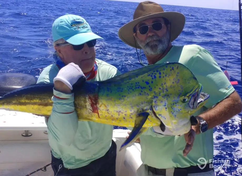 Seabbatical Charters – nearshore / Offshore charter image 6