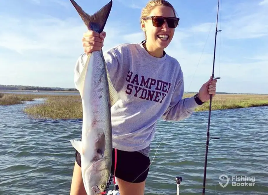 Coastline Charters charter image 3