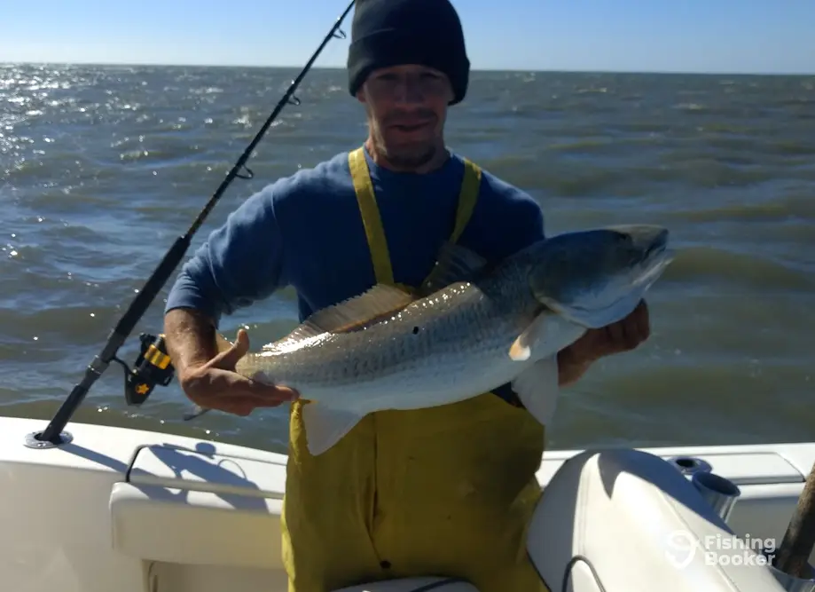 Fin Reaper charter image 3