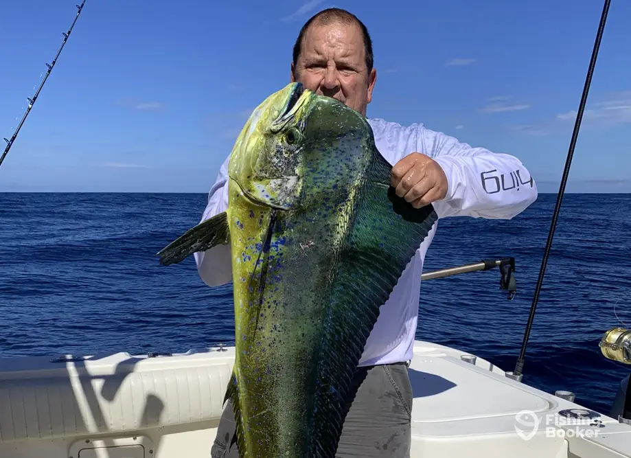 Capt. Austin's Fishing Adventures charter image 5