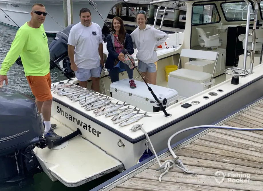 Shearwater Fishing Charters charter image 4