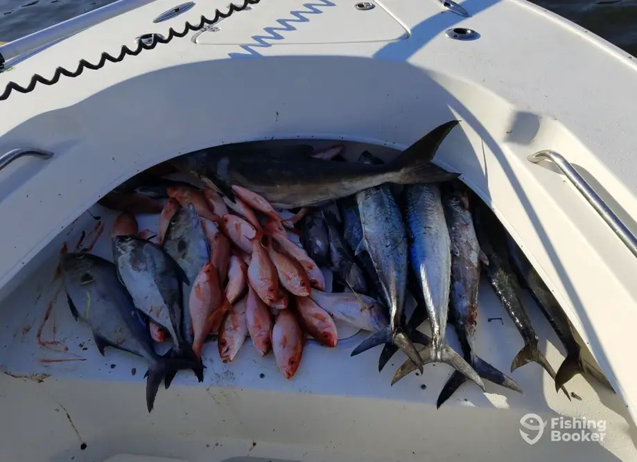 Ambition fishing Charters charter image 3