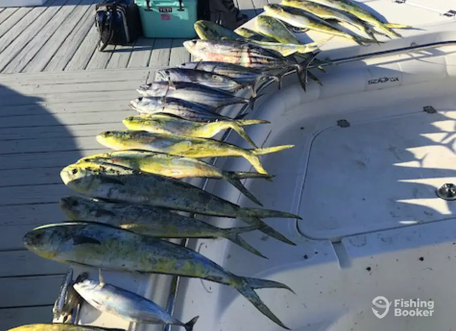 Playin' Hooky Too Charters charter image 2