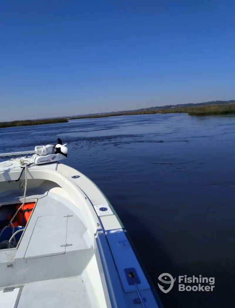 Seabattical Charters – Inshore charter image 4