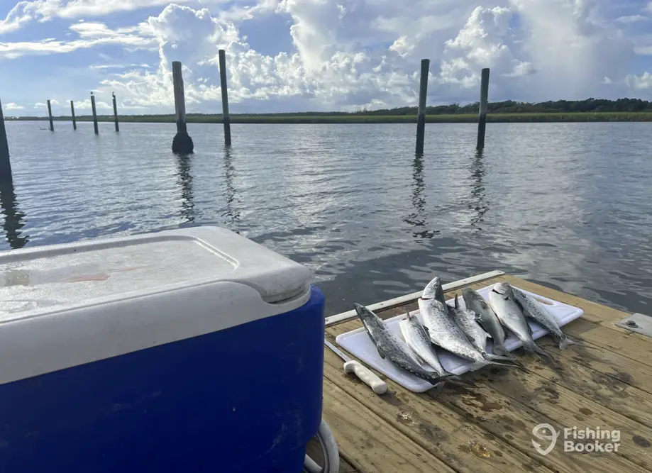 Little Secret Charters charter image 4