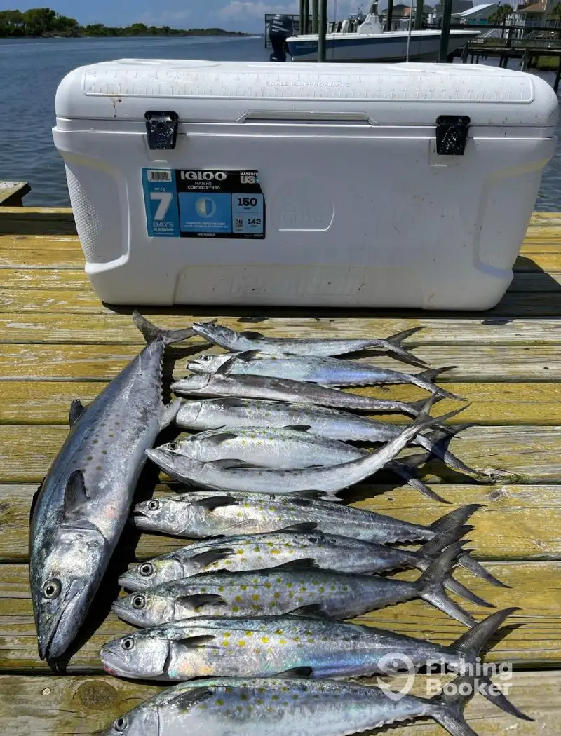 Atlantic Blue Charters charter image 4