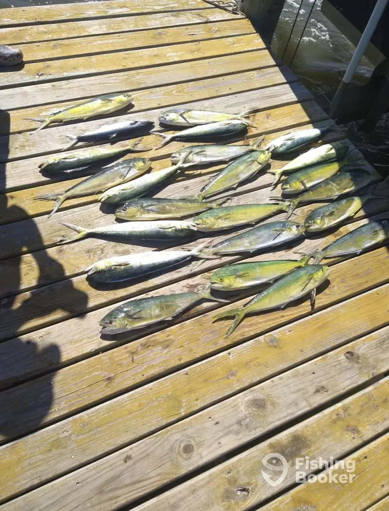 Atlantic Blue Charters charter image 5