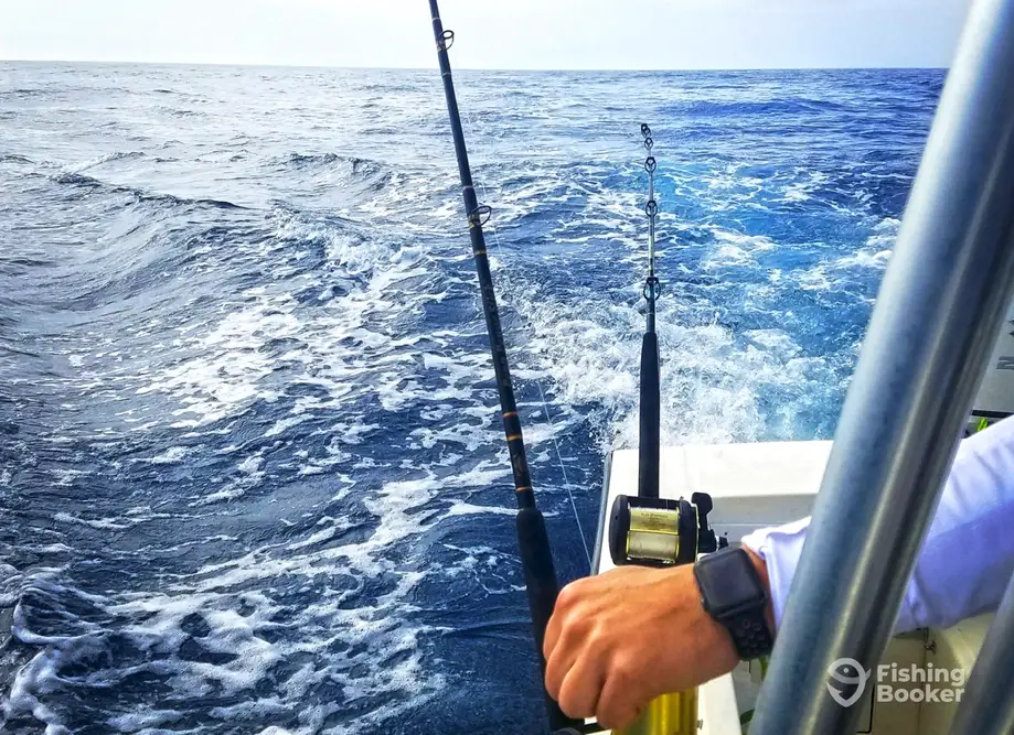 Badfish Fishing Charters charter image 5