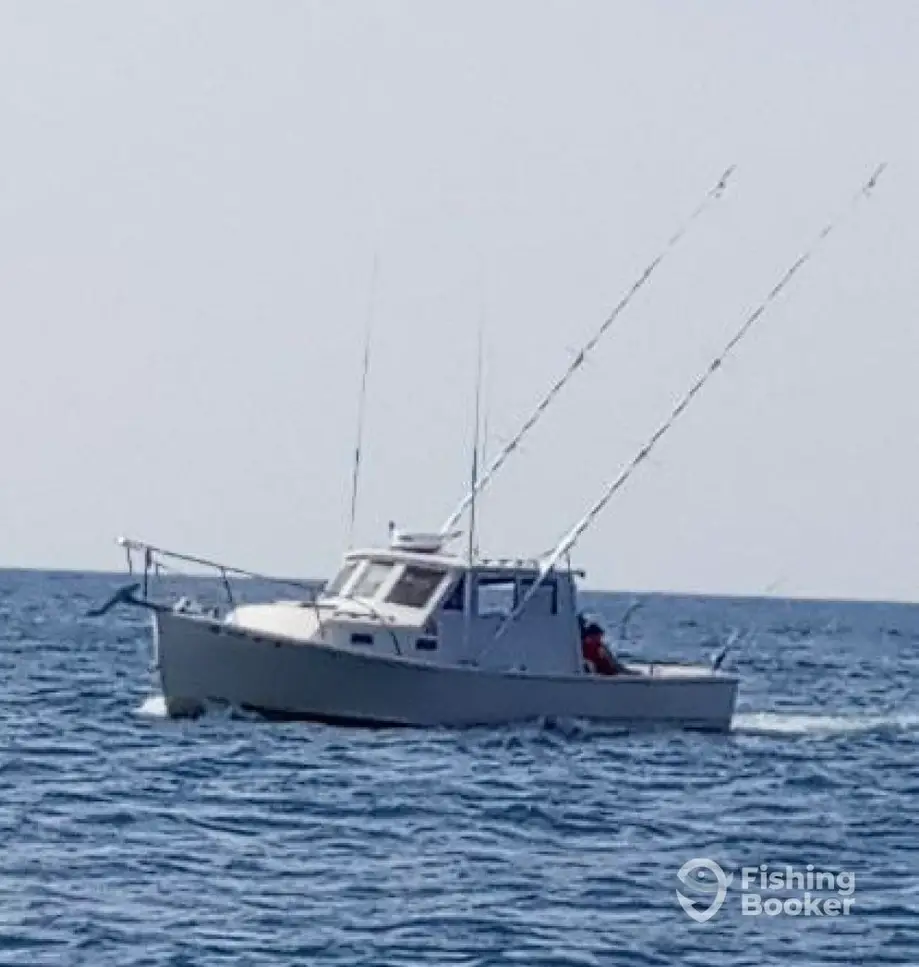 Deep Sea Express Charters charter image 3