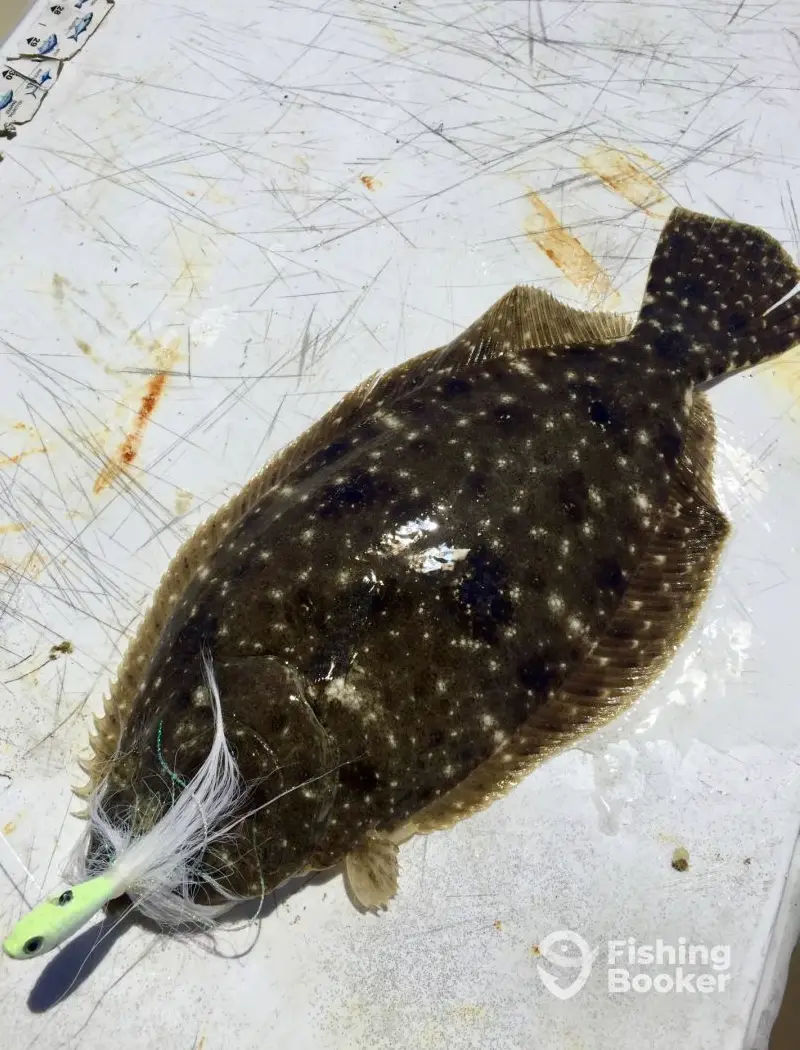 J Hook Charters LLC charter image 6