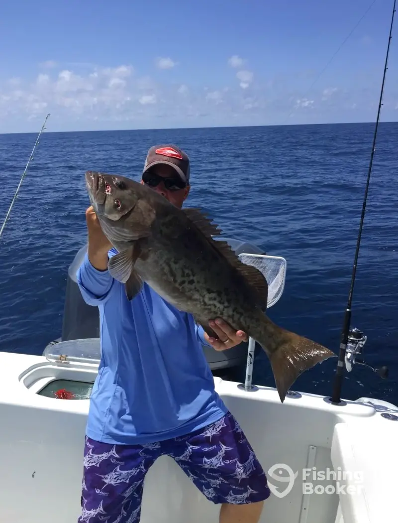 Catherine Anne Sportfishing and Excursions charter image 4