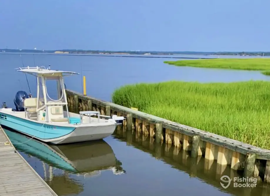 Play N' Hooky Fishing Charters charter image 3