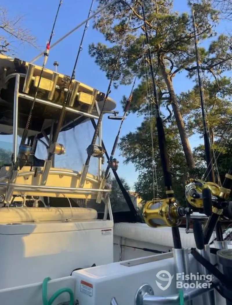 Live Action Charters OKI charter image 2