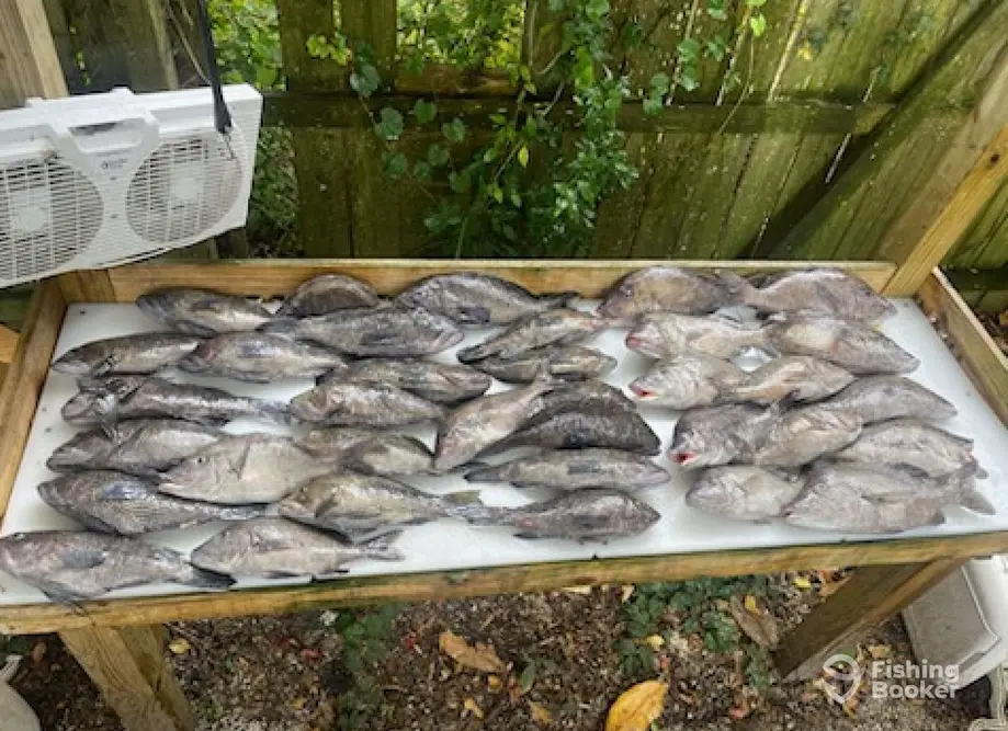 Live Action Charters OKI charter image 3