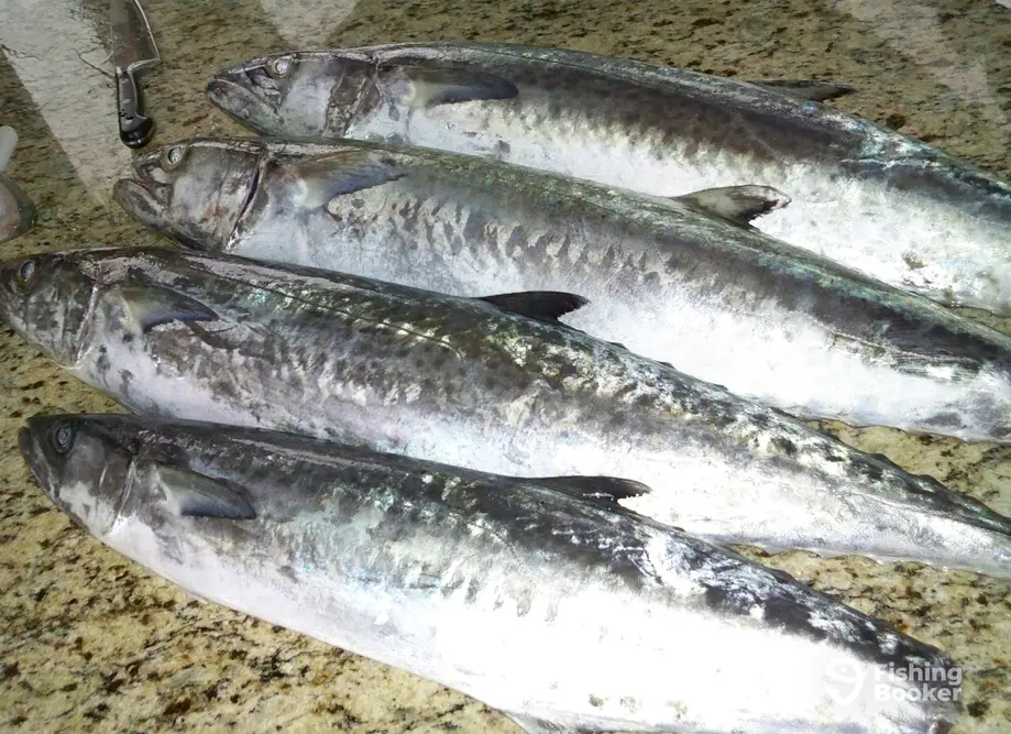 Reel Fly Fishing Charters charter image 5