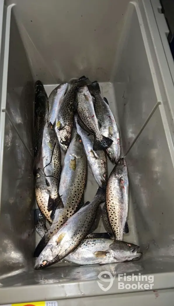 Atlantic Blue Charters – 19' charter image 4