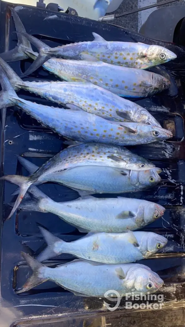 Sea Legs Charters and Marine charter image 4