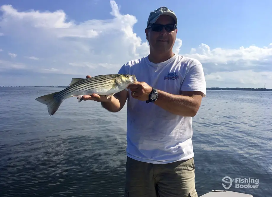Salty Dawg Fishing Charters – Wilmington charter image 4