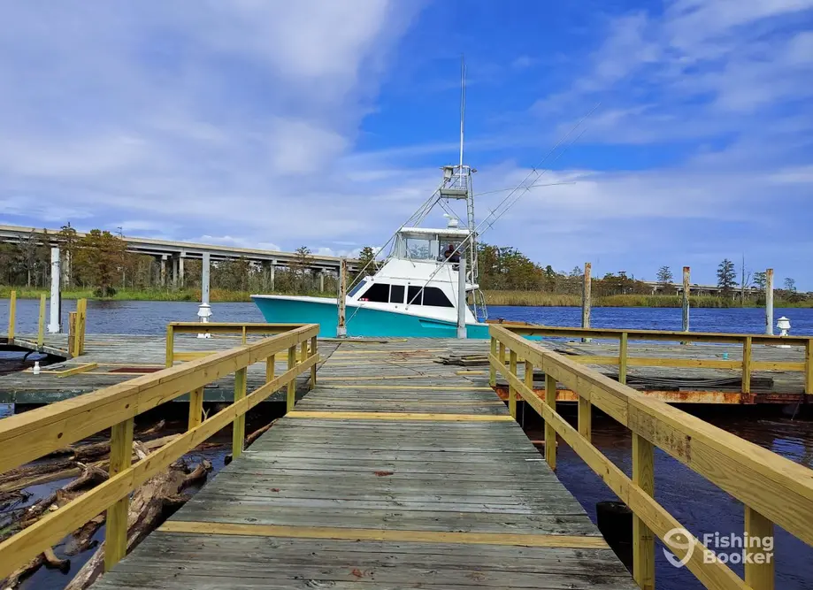 Gypsy Dawn Charters charter image 5