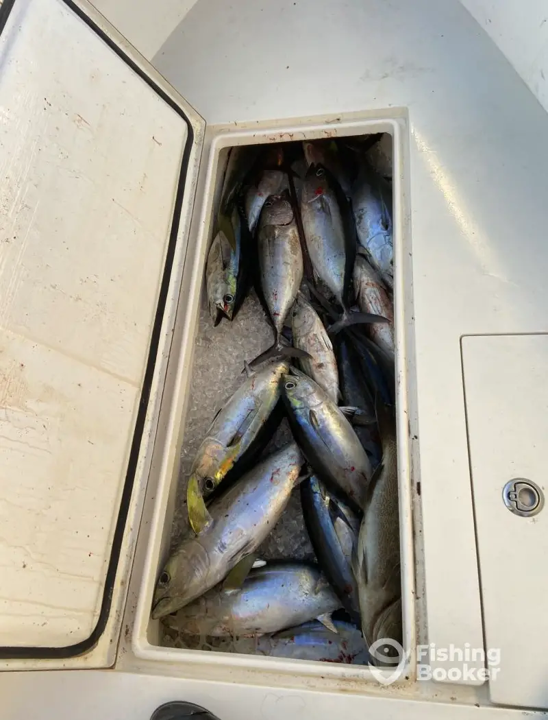 Local Boys Charters charter image 4