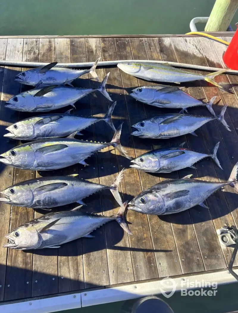 Local Boys Charters charter image 5