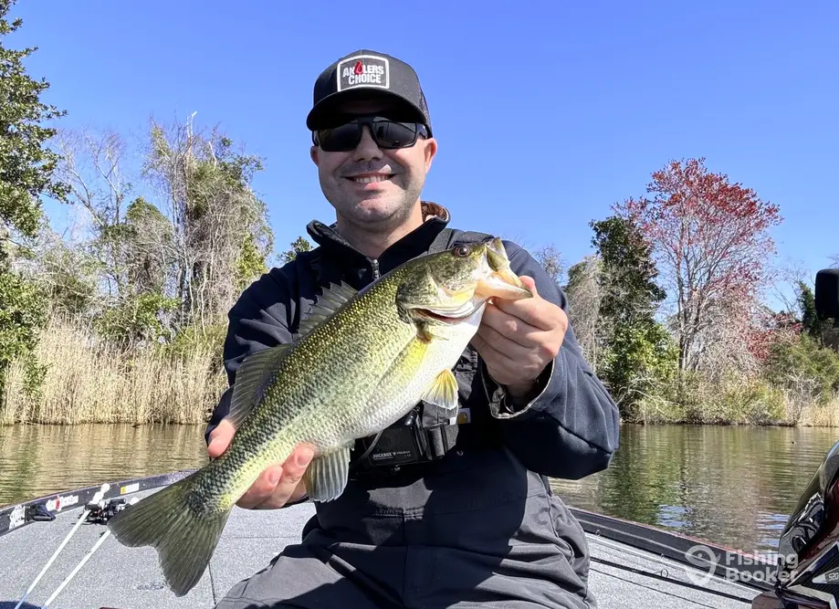 RiverBass Guide Service – Wilmington charter image 2