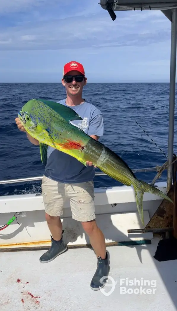 Teaser 2 charter image 3