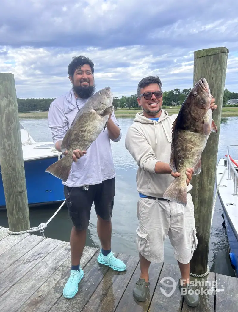 Teaser 2 charter image 4