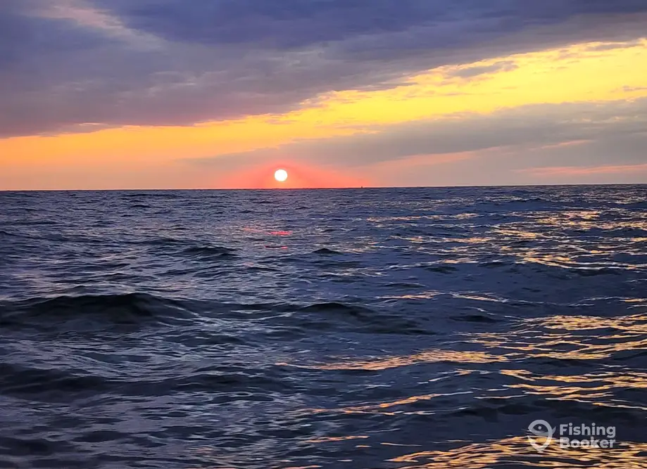 Behind The Island Charters charter image 5