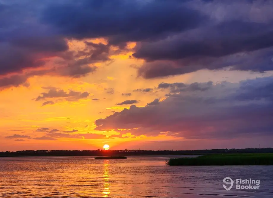Behind The Island Charters charter image 6