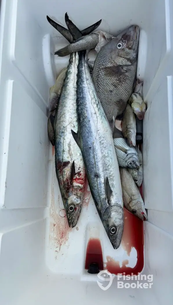 Winyah Adventures charter image 3