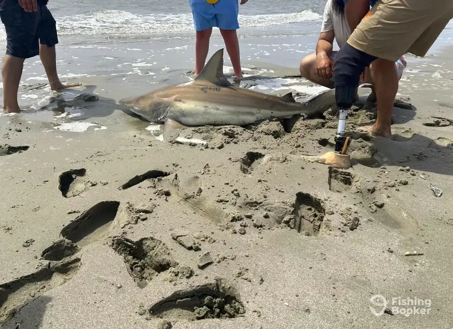 Winyah Adventures charter image 4