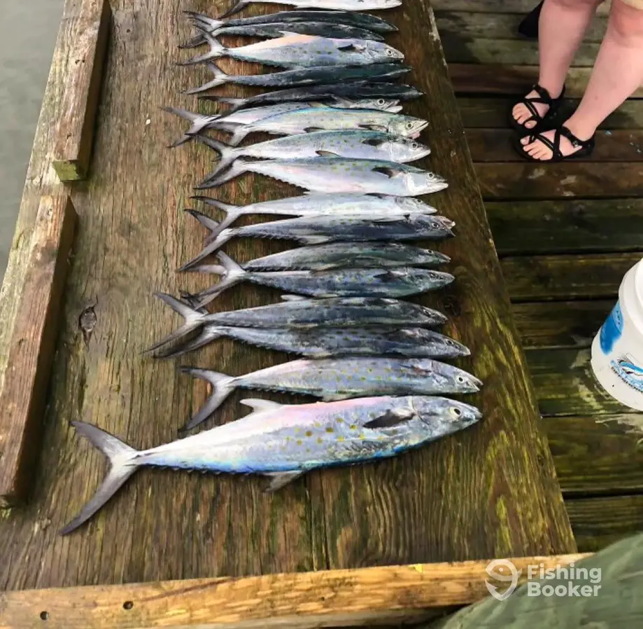 Hook Ya Up charter image 3