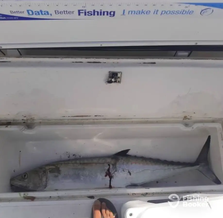 Hook Ya Up charter image 4