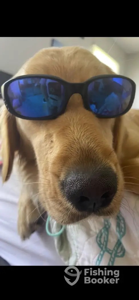 Hook Ya Up charter image 6